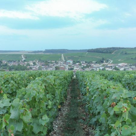 Une Parenthese En Champagne Jaucourt Kültér fotó