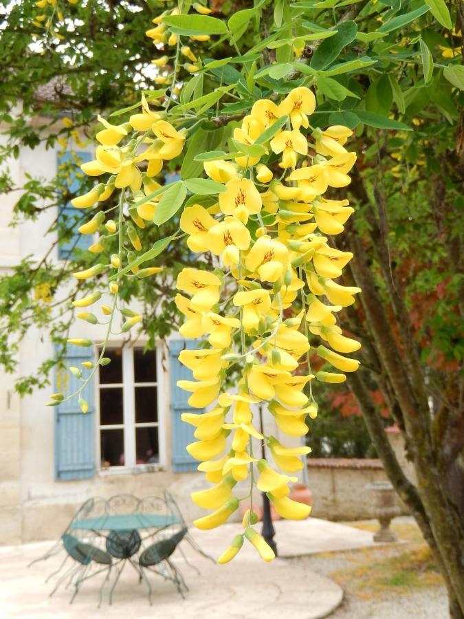 Une Parenthese En Champagne Jaucourt Kültér fotó
