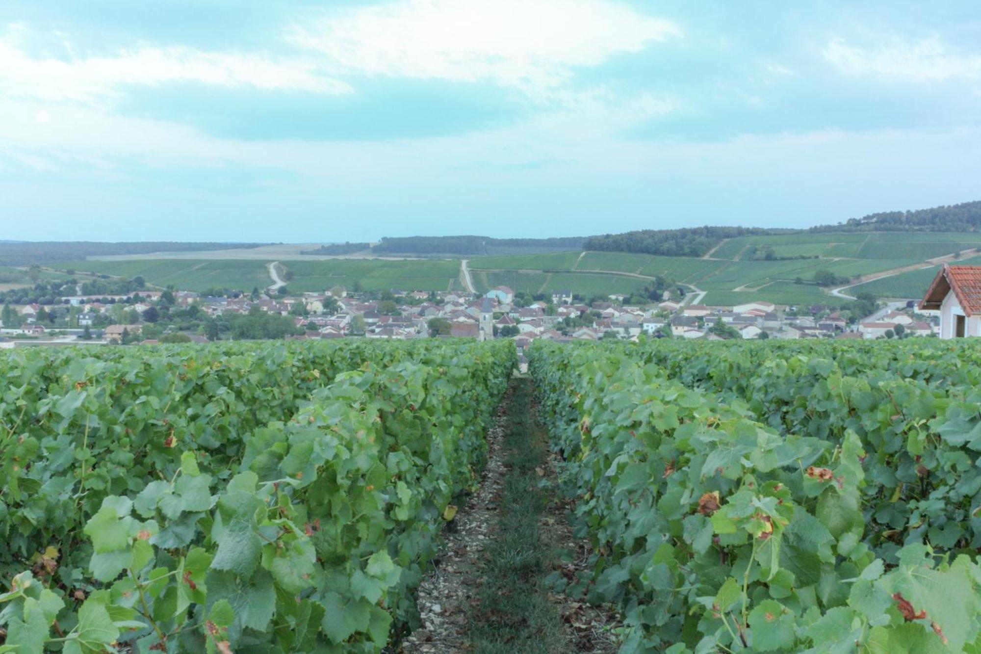 Une Parenthese En Champagne Jaucourt Kültér fotó